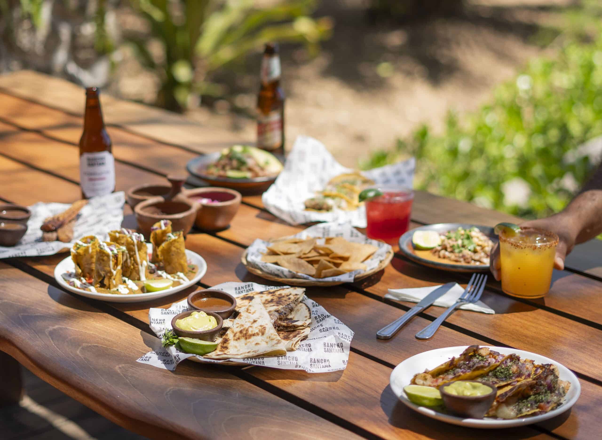 A wooden table outdoors displays plates of tacos, quesadillas, chips with dip, and colorful drinks amidst sunlight and greenery. A person’s hand holds a drink on the right, capturing the lively spirit of The Humphreys’ Sea of Adventures.