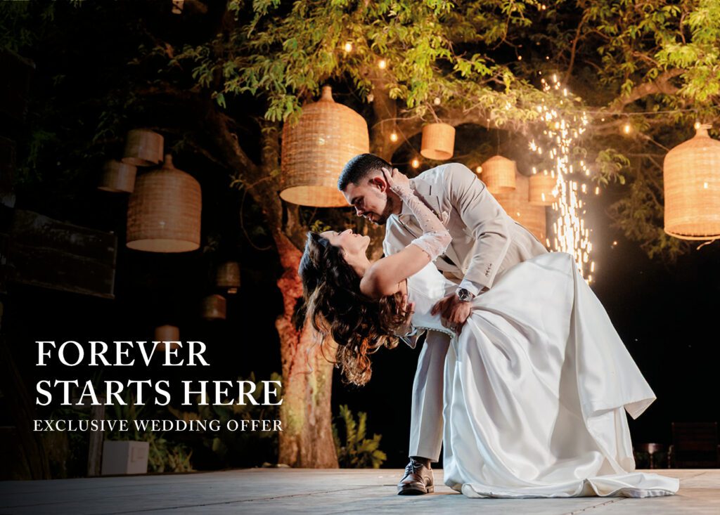 A groom dips his bride on an outdoor dance floor under hanging lanterns and tree lights, with sparkling fireworks in the background. Text reads: Forever starts here. Exclusive wedding offer.
